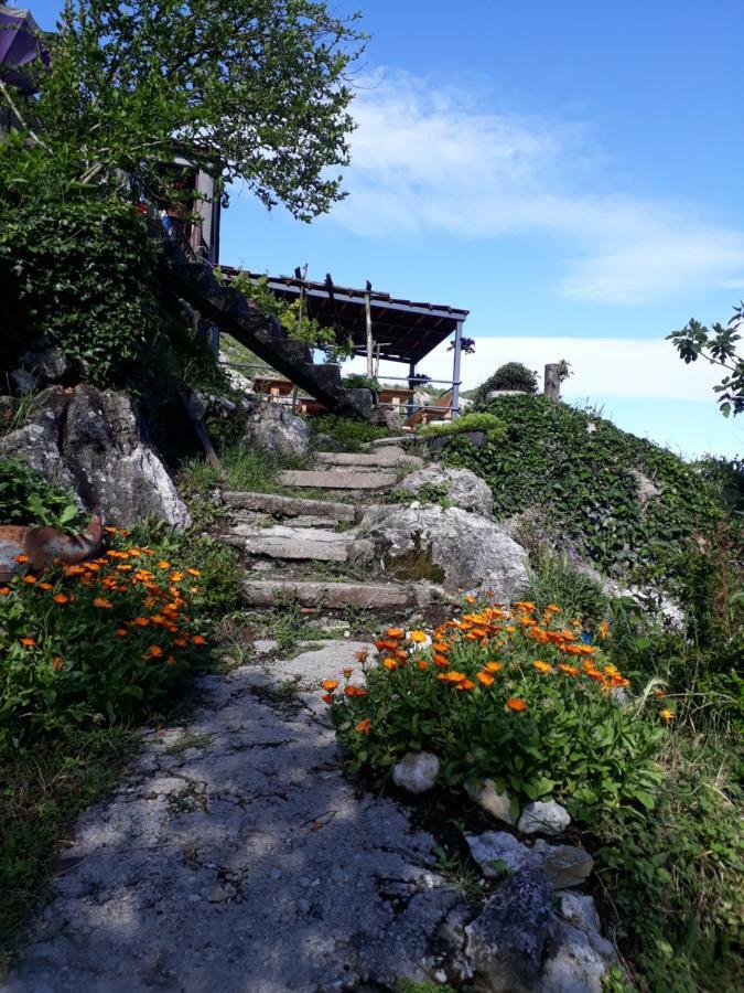 Camp Sunny Hills Otel Virpazar Dış mekan fotoğraf
