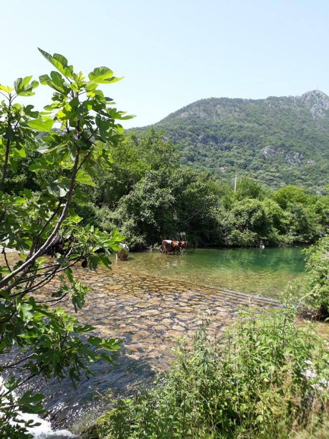 Camp Sunny Hills Otel Virpazar Dış mekan fotoğraf
