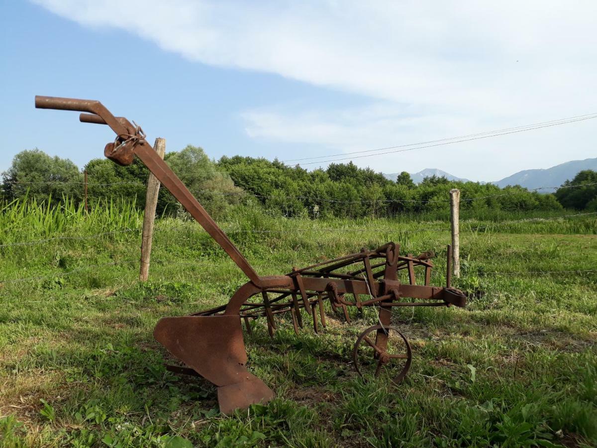 Camp Sunny Hills Otel Virpazar Dış mekan fotoğraf